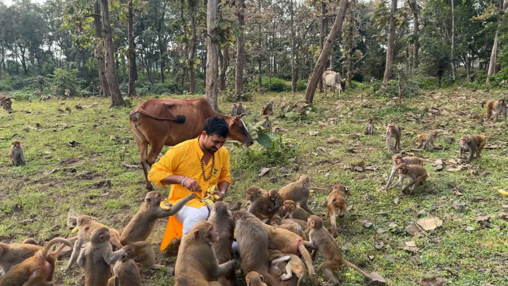 Nested Sequence 04.00_05_55_28.Still003